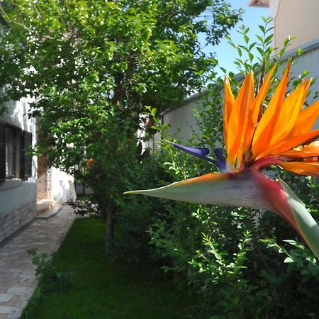 Manelisa Cascais Bed & Breakfast Exterior photo