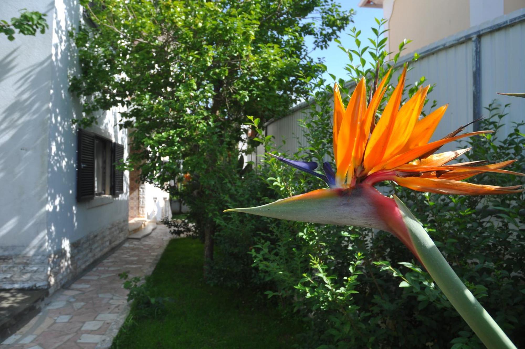 Manelisa Cascais Bed & Breakfast Exterior photo